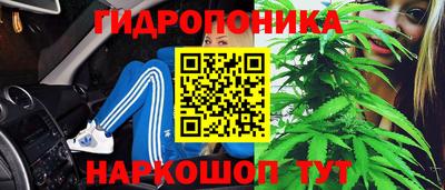 гидропоника Гудермес